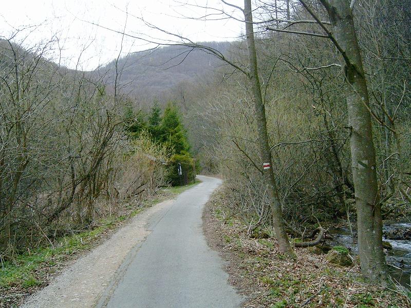2012.04.14. 0039.jpg
